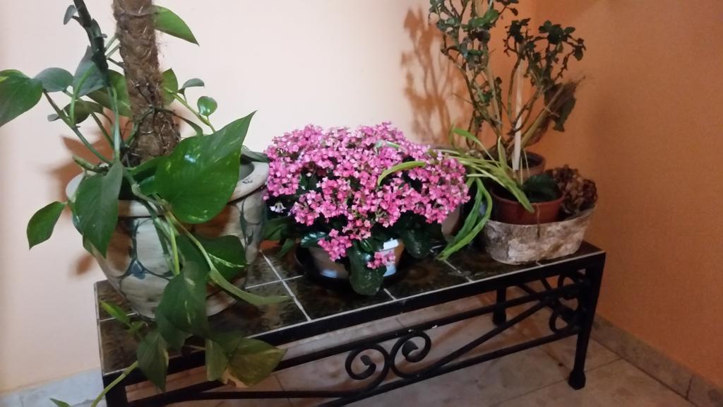 Waldgasthof - Hotel Schiederhof Wiesenfelden Εξωτερικό φωτογραφία