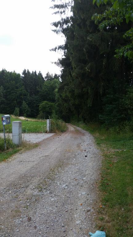 Waldgasthof - Hotel Schiederhof Wiesenfelden Εξωτερικό φωτογραφία